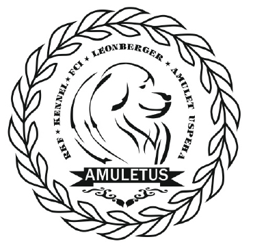 Макет клише